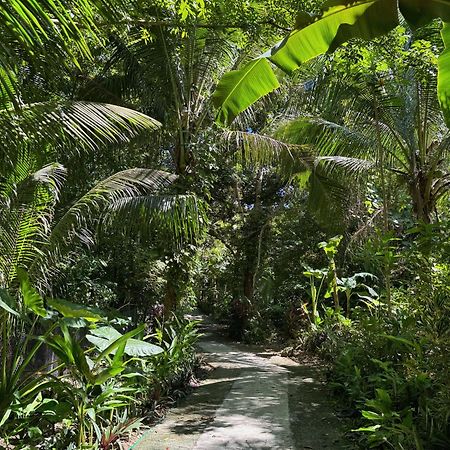 Jungle Kingdomes Guest House Siquijor Kültér fotó
